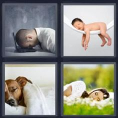 Foto 9x13