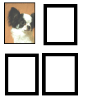 Imp. Color 1/4Cta (img)